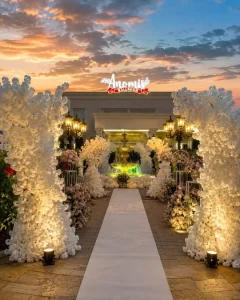 Anomis Events & More